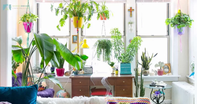 Bring The Outdoors In Best Dorm Room Planters