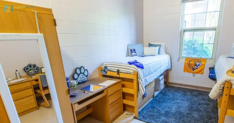 Creating A Home Away From Home A Dorm Room Guide