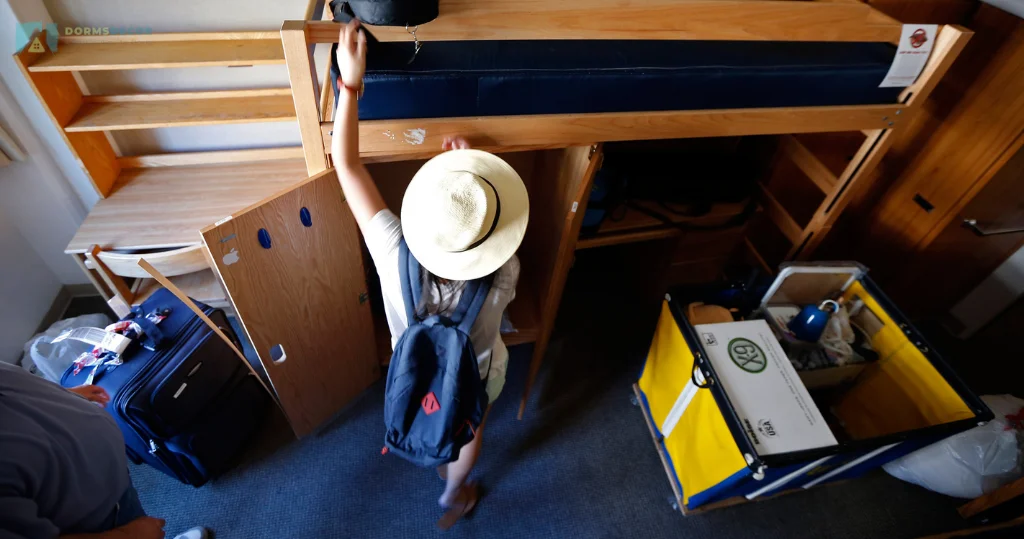 Move In, Move Up Elevating Your Dorm Room