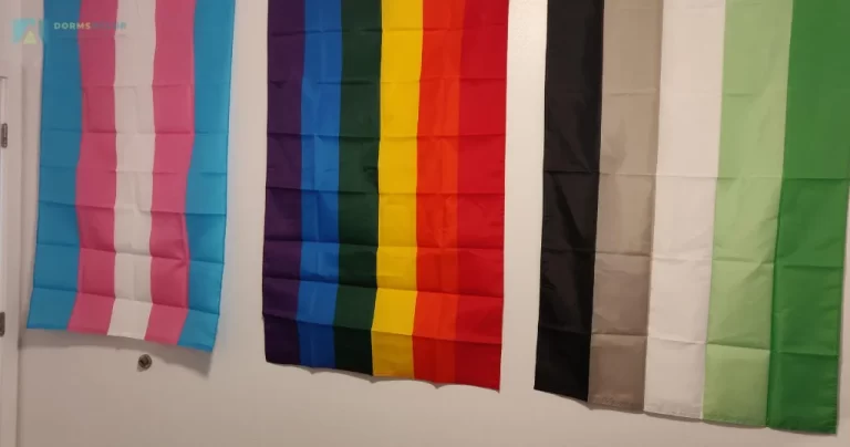 Show Your Pride Decorating With Dorm Room Flags